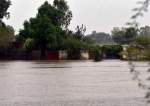 Heavy Flooding in Pakistan Claims 17 Lives