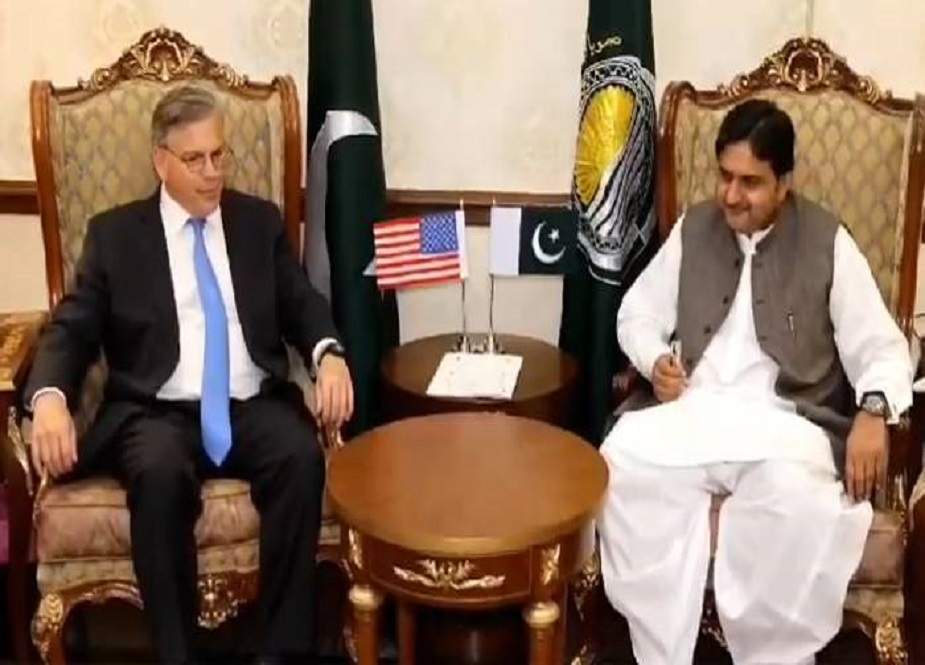 وزیراعلیٰ پنجاب کے بعد امریکی سفیر کی قائم مقام گورنر پنجاب سے ملاقات
