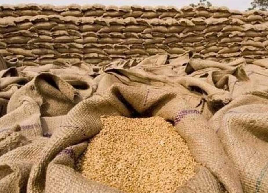 خیبر پختونخوا حکومت کاشتکاروں سے 29 ارب روپے کی گندم خریدنے کیلئے تیار