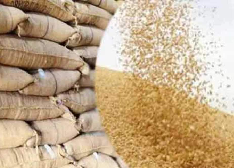 گندم درآمد کا معاملہ کل نیب یا ایف آئی اے کو بھجوانے کا امکان