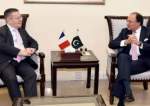 وزیر خزانہ محمد اورنگزیب سے فرانسیسی سفیر کی ملاقات، دو طرفہ امور پر گفتگو