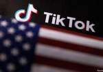 U.S. flag and TikTok logo