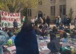 Princeton Faculty Go On Hunger Strike in Support of Gaza