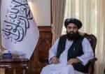 افغان طالبان نے پاکستانی وفد کا دورہ منسوخ کر دیا