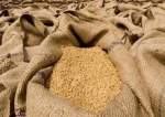 پنجاب حکومت کا کسانوں کے لیے 4 ماہ میں 400 ارب روپے کے پیکج کا اعلان