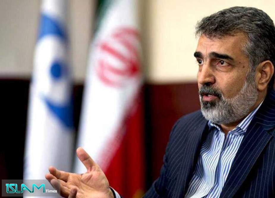 AEOI Chief: Iran Willing to Share Nuke Expertise with All Countries