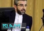 باقري: العقوبات الأميركية تحولت إلى فرص فريدة بفضل براعة قادة طهران وموسكو